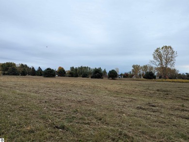 Beach Acreage For Sale in Au Gres, Michigan