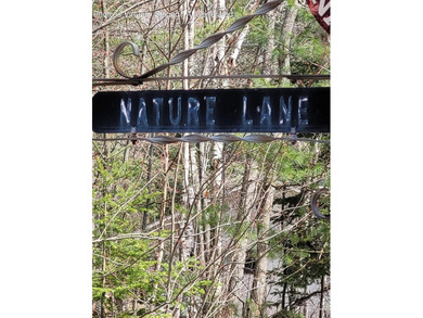 Beach Lot Sale Pending in Ocqueoc, Michigan