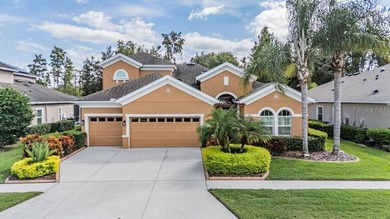 Beach Home Sale Pending in Land O Lakes, Florida