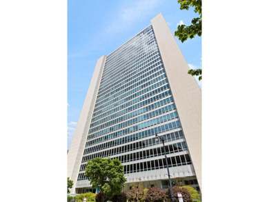 Beach Condo For Sale in Chicago, Illinois