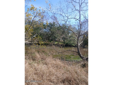 Beach Lot For Sale in Gautier, Mississippi