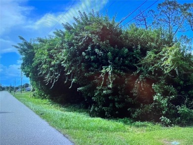 Beach Lot For Sale in Englewood, Florida