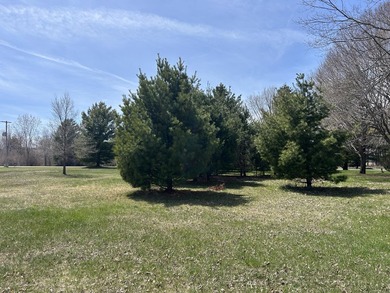 Beach Lot For Sale in Oscoda, Michigan