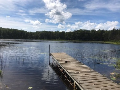 Beach Lot For Sale in Rogers City, Michigan