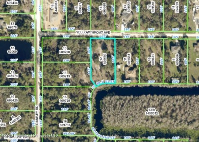 Beach Lot For Sale in Weeki Wachee, Florida