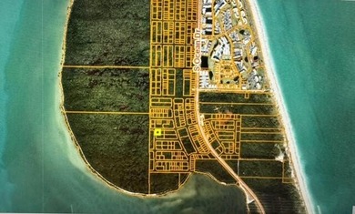 Beach Lot For Sale in Hutchinson Island, Florida