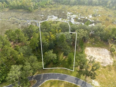 Beach Lot For Sale in Brunswick, Georgia