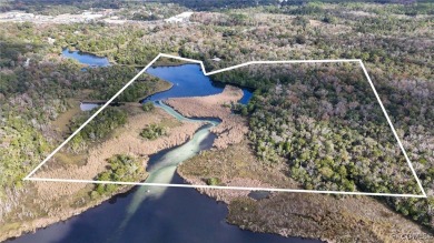 Beach Home For Sale in Homosassa, Florida