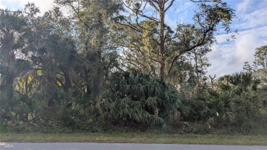 Beach Lot For Sale in Port Charlotte, Florida