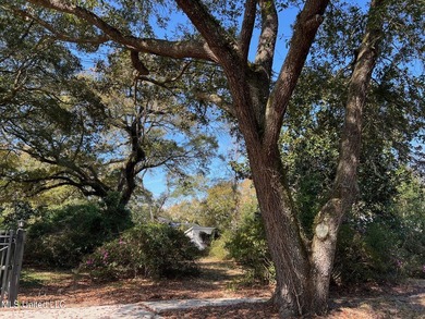 Beach Lot For Sale in Pass Christian, Mississippi