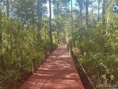 Beach Acreage For Sale in Inglis, Florida