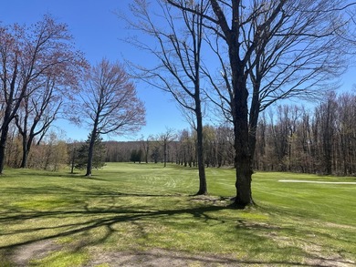 Beach Lot For Sale in Harbor Springs, Michigan