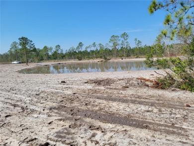 Beach Acreage Off Market in New Smyrna Beach, Florida