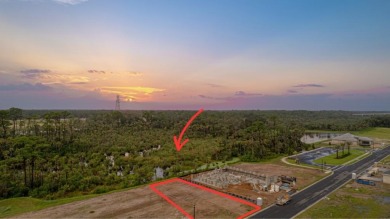 Beach Lot For Sale in Flagler Beach, Florida