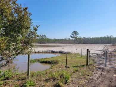 Beach Acreage Off Market in New Smyrna Beach, Florida