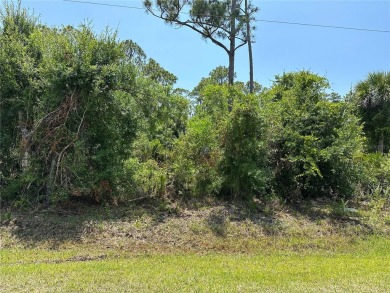 Beach Lot For Sale in Punta Gorda, Florida