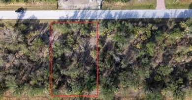 Beach Lot For Sale in Port Charlotte, Florida