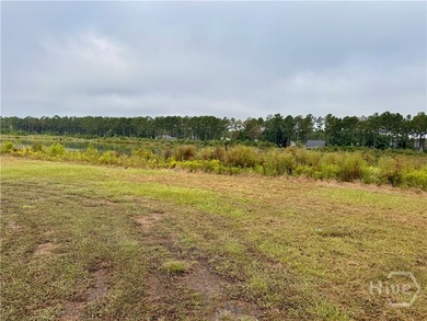 Beach Acreage For Sale in Richmond Hill, Georgia