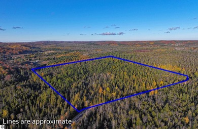 Beach Acreage Sale Pending in Cedar, Michigan