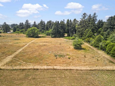 Beach Lot For Sale in Crescent City, California