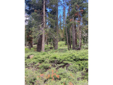 Beach Lot For Sale in South Lake Tahoe, California