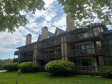 Beach Condo For Sale in Harbor Springs, Michigan