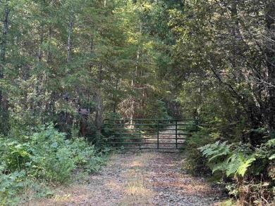 Beach Lot For Sale in Crescent City, California