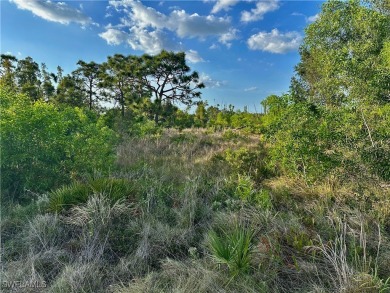 Beach Lot For Sale in Bokeelia, Florida