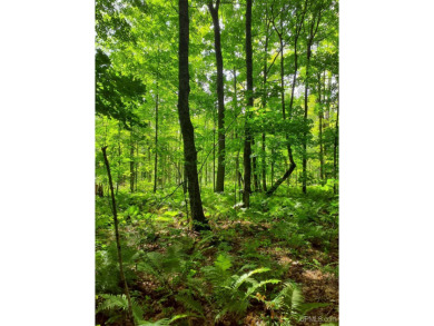 Beach Acreage For Sale in Ontonagon, Michigan