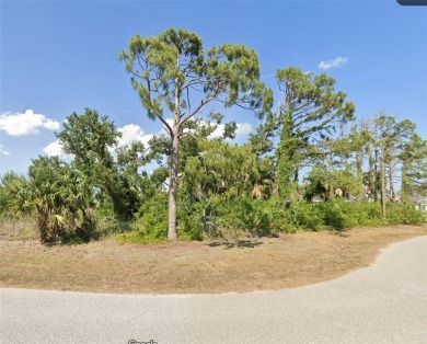 Beach Lot For Sale in Rotonda West, Florida
