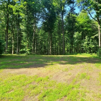 Beach Lot For Sale in Madison, Ohio