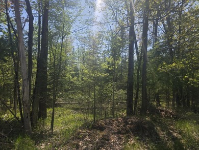 Beach Acreage Sale Pending in Harrisville, Michigan