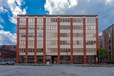 Beach Condo For Sale in Cleveland, Ohio