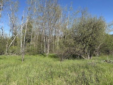Beach Lot For Sale in Cheboygan, Michigan
