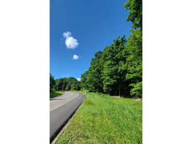 Beach Acreage For Sale in Arcadia, Michigan