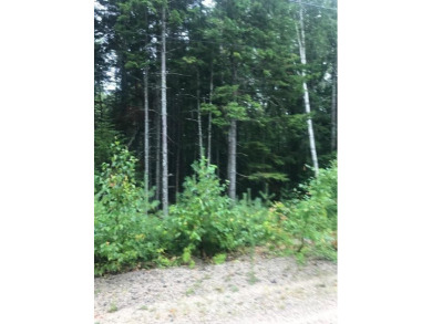 Beach Lot Off Market in Sullivan, Maine