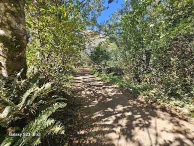 Beach Lot For Sale in Crescent City, California