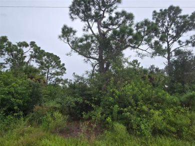 Beach Lot For Sale in North Port, Florida