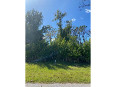 Beach Lot For Sale in Rotonda West, Florida