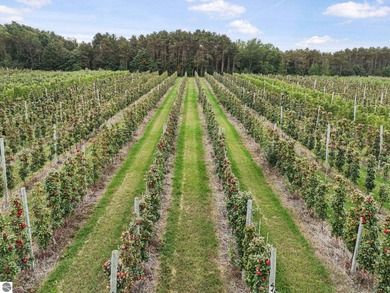 Beach Acreage For Sale in Empire, Michigan