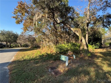 Beach Lot For Sale in Homosassa, Florida