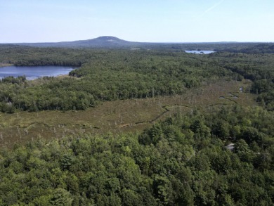 Beach Acreage Off Market in Blue Hill, Maine