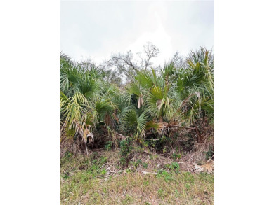 Beach Lot For Sale in North Port, Florida