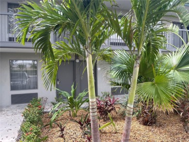 Beach Condo For Sale in Sarasota, Florida