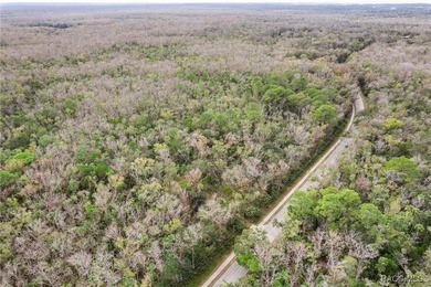 Beach Lot For Sale in Homosassa, Florida