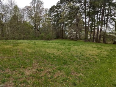 Beach Acreage For Sale in Carrollton, Virginia