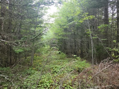 Beach Acreage Off Market in Whiting, Maine