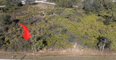 Beach Lot For Sale in Port Charlotte, Florida