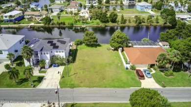 Beach Lot Sale Pending in Hernando Beach, Florida