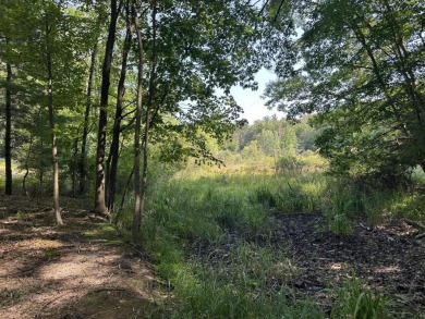 Beach Acreage For Sale in Montague, Michigan
